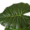 Artificial Monstera Deliciosa Plant 37" Fake Tropical Palm Tree, Perfect Faux Swiss Cheese Plants in Pot