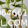Artificial Plant Ficus Carica Fruit Plant Bonsai Tree Faux Plant Indoor Home Decor Plant Potted Plant Home
