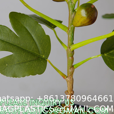 Artificial Plant Ficus Carica Fruit Plant Bonsai Tree Faux Plant Indoor Home Decor Plant Potted Plant Home