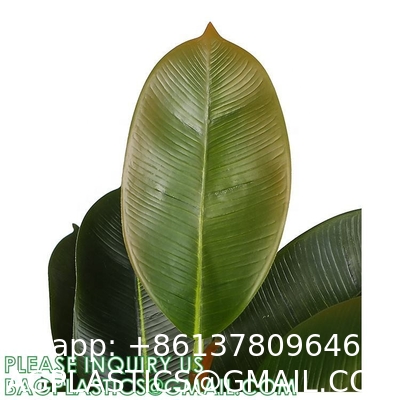 80cm Nearly Natural Looking Oak Tree Faux Plants Ornamental Indoor Tree Fashional Faux Oak Tree Plants Real Touch
