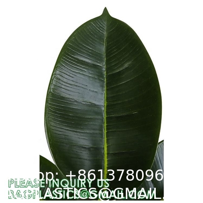 80cm Nearly Natural Looking Oak Tree Faux Plants Ornamental Indoor Tree Fashional Faux Oak Tree Plants Real Touch