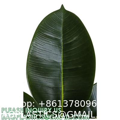 80cm Nearly Natural Looking Oak Tree Faux Plants Ornamental Indoor Tree Fashional Faux Oak Tree Plants Real Touch