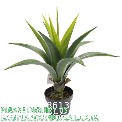 Dracaena Silk Plant Artificial 5ft Faux House Plants Evergreen Dracaena Marginata Fake Yucca Palm Trees in Pot