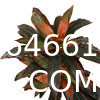 Dracaena Silk Plant Artificial 5ft Faux House Plants Evergreen Dracaena Marginata Fake Yucca Palm Trees in Pot