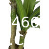 Dracaena Silk Plant Artificial 5ft Faux House Plants Evergreen Dracaena Marginata Fake Yucca Palm Trees in Pot