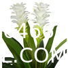 Dracaena Silk Plant Artificial 5ft Faux House Plants Evergreen Dracaena Marginata Fake Yucca Palm Trees in Pot