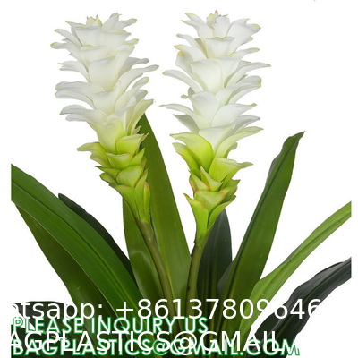 Dracaena Silk Plant Artificial 5ft Faux House Plants Evergreen Dracaena Marginata Fake Yucca Palm Trees in Pot