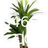 Dracaena Silk Plant Artificial 5ft Faux House Plants Evergreen Dracaena Marginata Fake Yucca Palm Trees in Pot