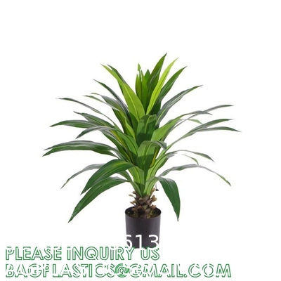 Dracaena Silk Plant Artificial 5ft Faux House Plants Evergreen Dracaena Marginata Fake Yucca Palm Trees in Pot