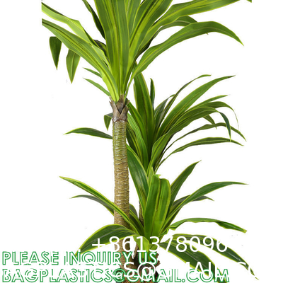 Dracaena Silk Plant Artificial 5ft Faux House Plants Evergreen Dracaena Marginata Fake Yucca Palm Trees in Pot