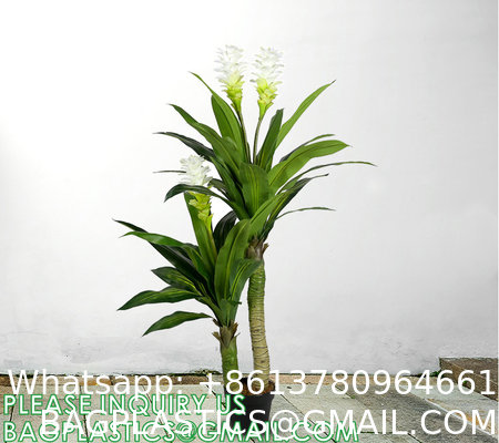 Dracaena Silk Plant Artificial 5ft Faux House Plants Evergreen Dracaena Marginata Fake Yucca Palm Trees in Pot