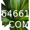 Dracaena Silk Plant Artificial 5ft Faux House Plants Evergreen Dracaena Marginata Fake Yucca Palm Trees in Pot