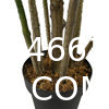 Dracaena Silk Plant Artificial 5ft Faux House Plants Evergreen Dracaena Marginata Fake Yucca Palm Trees in Pot