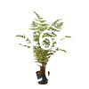 Spinulosa Fern Plants Bushes Fake Shrubs Greenery Plants Faux Fern Snakewood Outdoors UV Resistant Garden Plants