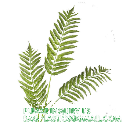 Spinulosa Fern Plants Bushes Fake Shrubs Greenery Plants Faux Fern Snakewood Outdoors UV Resistant Garden Plants
