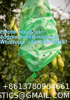 Perforated Tomato Tube Cover Frost Protection Bag Garden Used Cover Tomato Growing Covers Sleeves With Ties