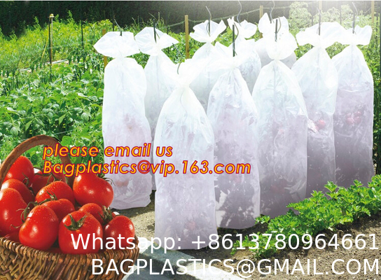 Transparent Low Tunnel Film Perforated For Culture Of Seedling Maturing Vegetables perforated red plastic mulch