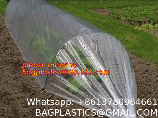 Transparent Low Tunnel Film Perforated For Culture Of Seedling Maturing Vegetables perforated red plastic mulch