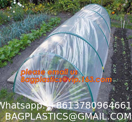 Transparent Low Tunnel Film Perforated For Culture Of Seedling Maturing Vegetables perforated red plastic mulch