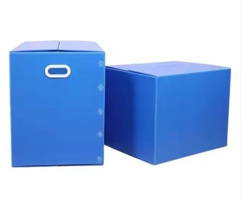 Customizable PP Plastic Storage Box Multi-Size Foldable Moving Organization Boxes 4mm Thickness Cut Processed To Order