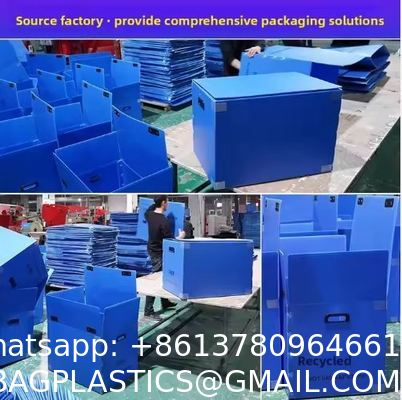 Customizable PP Plastic Storage Box Multi-Size Foldable Moving Organization Boxes 4mm Thickness Cut Processed To Order