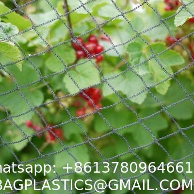 Durable Anti-Bird Trapping HDPE Netting PE Vineyard New Material Bee-Free For Winery Garden Farm & Hunting