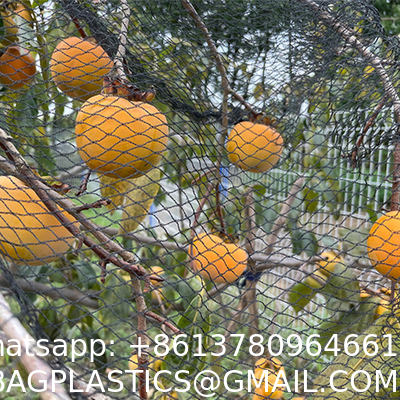 Durable Anti-Bird Trapping HDPE Netting PE Vineyard New Material Bee-Free For Winery Garden Farm & Hunting