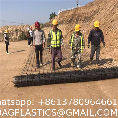 PP wire mesh Thickens 1.5-2.3mm Black Plastic Fence Rolling 2cm 3cm Hole Breeding Nets Protection Of Vegetable Fruit Plant PVC Fence