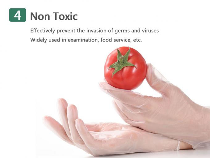 수술 장갑, 건강진단 라텍스 Gloves| 5 MIL 두께, 분말 비함유, 불모, 과중한 업무 시험 글러브 27