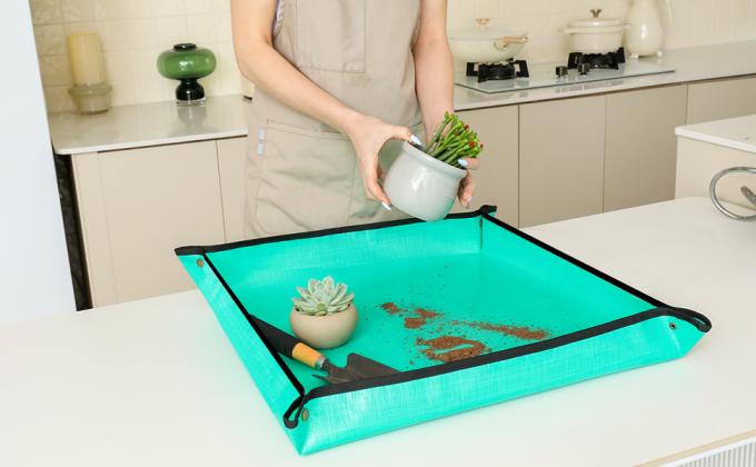 gifts for indoor plant lovers