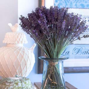 물이 없는 적격자 설계 실제적 터치 식물은 큰 인공 알로에 베라 시뮬레이션 1.25m 집 장식 플라스틱 트리를 나무위로 쫓아 올립니다 10