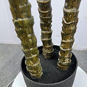 실제적 트렁크