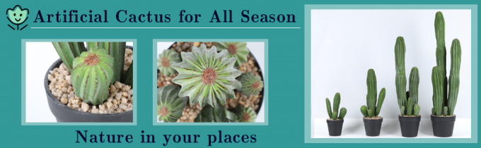 Artificial Cactus