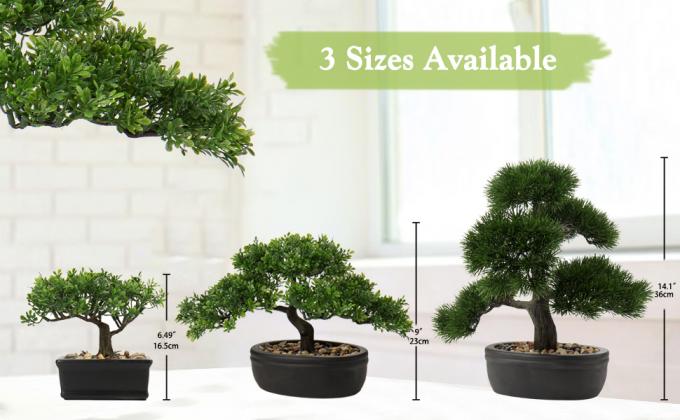 bonsai 트리 항목