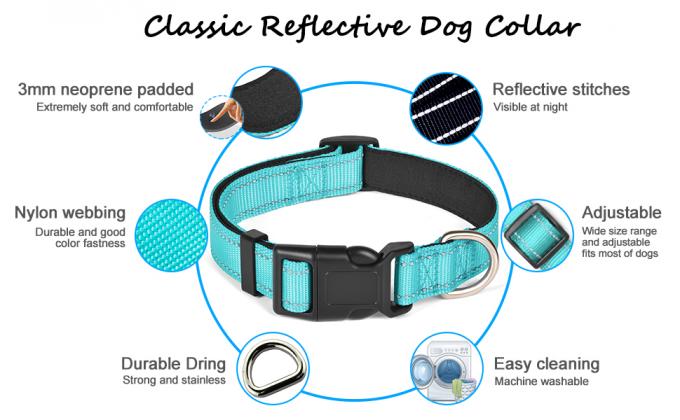 DOG COLLAR