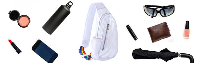 Multiple Compartment Clear Bag