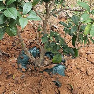 방울 물 가방 정원 방울 물 가방 방울 방울 방울 방울 물 물 물 물 물 물 물 물 물 물 물 물 물 물 물 물 물 물 물 물 물 물 3