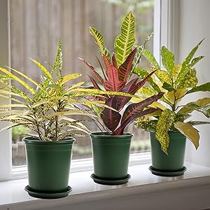 Nursery Pot Plant Grow Sturdy Flower pots in Bulk Price Gallon Durable Nursery Pot Garden Flower Pots Nursery Plant Container Kit With Matching Pallets 4