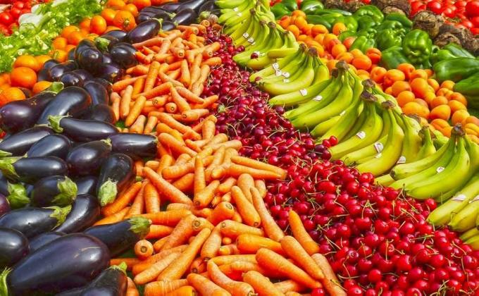 정원 네트, 식물 덮개 10x33피트 네트 초미세 메쉬 보호 네트 야채 식물 과일 꽃 작물 온실 열 커버 재배 침대 장벽 스크린 보호 네트 커버 3