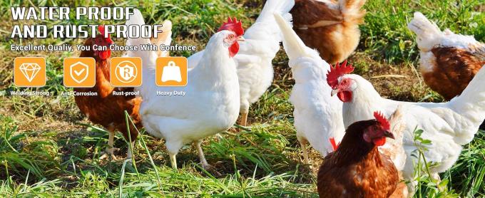 Hardware Cloth Chicken Wire Fencing Hot-Dipped Galvanized Welded Chicken Wire Mesh Roll Metal Fence For Poultry Cage Home Improvement Projects 0