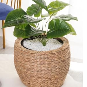 Water Hyacinth Wicker Planter Basket, Small Round Woven Basket For Plants With Metal Pot, Indoor Wicker Plant Pot Eco-Friendly Water Hyacinth Woven Plant Pot – Round Basket with Inner Saucer, Deco 2