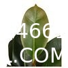 1.3m Potted Oak Tree Bonsai Faux House Plants For Home Decor Artificial Rubber Ficus Greenery Home Sets