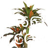 Dracaena Silk Plant Artificial 5ft Faux House Plants Evergreen Dracaena Marginata Fake Yucca Palm Trees in Pot