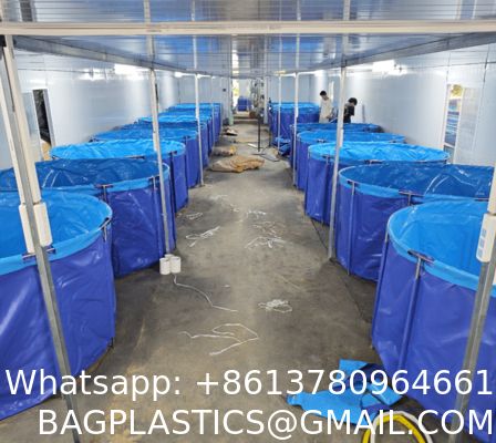 7000 Liters Diameter 3m X Height 1m Square/Round Fish Pond 1800 Gallon Foldable Plastic Tank Swimming Pool For Promotion