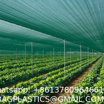 Garden Shade Netting Shade Net Exporters Shade Net Supplier Shade Nets Shade Netting For Plants Agriculture Shade Net Shade Netting Shade Net Shade Net Manufacturers Sun Shade Net Shade Cloth