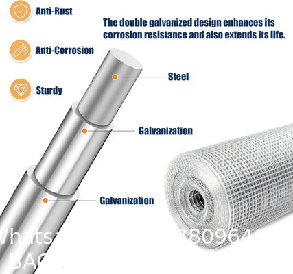 Hardware Cloth Chicken Wire Fencing Hot-Dipped Galvanized Welded Chicken Wire Mesh Roll Metal Fence For Poultry Cage Home Improvement Projects
