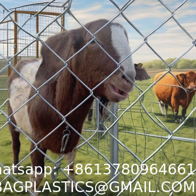 Wire 9 Gauge Green Vinyl Coated Galvanized Steel Chain Link Fence Fabric, Diamond Mesh Size 2-3/8 Inch, Galvanized Fencing Wire Roll For Garden And Animals Enclosure